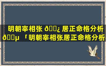 明朝宰相张 🌿 居正命格分析 🐵 「明朝宰相张居正命格分析视频」